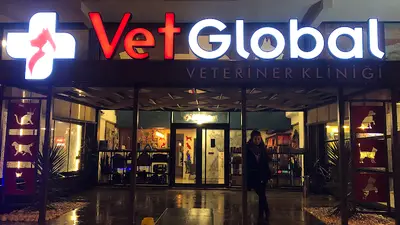 VetGlobal Veteriner Kliniği fotoğrafı