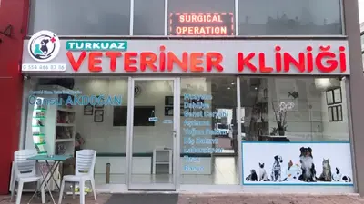 Turkuaz Veteriner Kliniği fotoğrafı