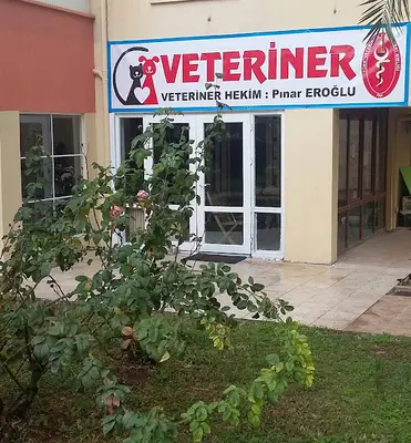 Pınar EROĞLU Veteriner Kliniği-Meltem fotoğrafı