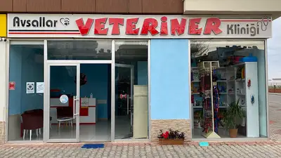 Avsallar Veteriner Kliniği / Kleintierpraxis / Pet Clinic