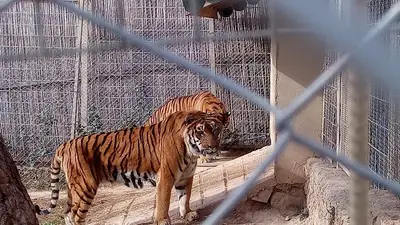 ANTALYA DOĞAL YAŞAM PARKI fotoğrafı