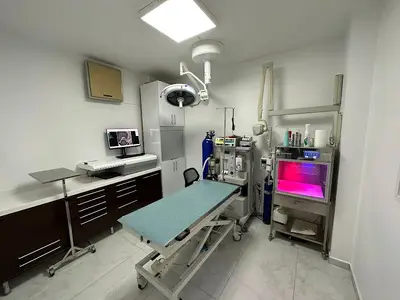 Evcilyum Veteriner Kliniği fotoğrafı