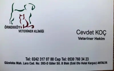 Örnekköy Veteriner fotoğrafı