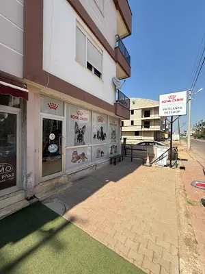 Patilanya Pet Shop fotoğrafı
