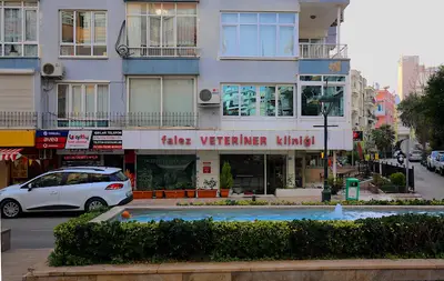 Falez Veteriner Kliniği fotoğrafı