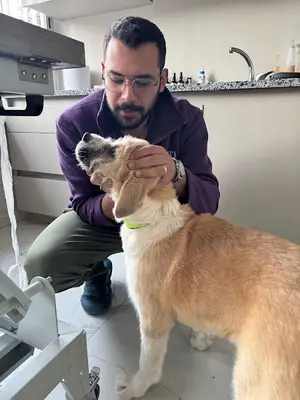 Vet Bella Veteriner Kliniği fotoğrafı