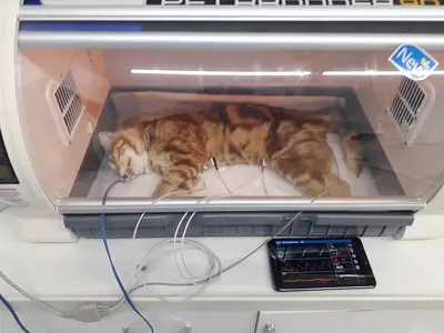 Mars Veteriner Kliniği fotoğrafı