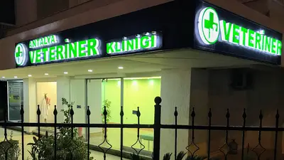 PETVET veteriner kliniği fotoğrafı
