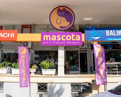 Mascota Evcil Hayvan Dünyası fotoğrafı