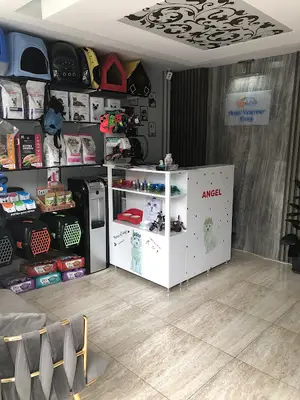 Angel Veteriner Kliniği fotoğrafı