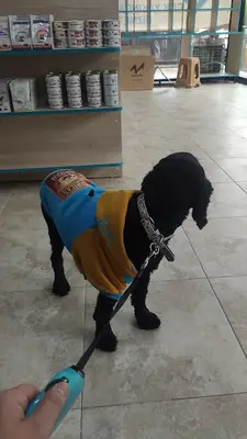 GTP Veteriner Kliniği fotoğrafı