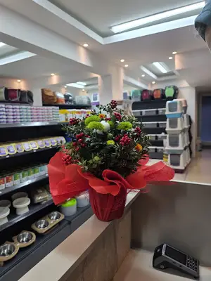 ALO PATİ PETSHOP fotoğrafı