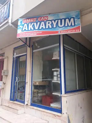 Umut Can Akvaryum fotoğrafı