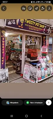 Tweety petshop