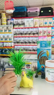 PoWeRMaX (Pet Product)
