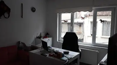Ela Veteriner Kliniği
