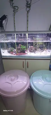 Sempati petshop akvaryum fotoğrafı