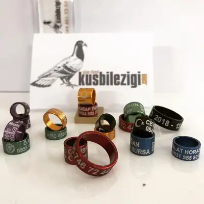 Kusbilezigi.com fotoğrafı