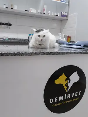 Demirvet Veteriner Kliniği