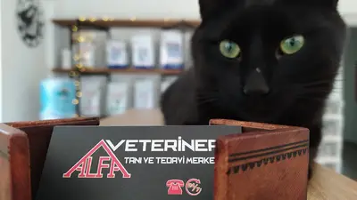 ALFA VETERİNER TANI VE TEDAVİ MERKEZİ