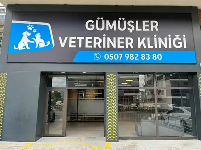 Gümüşler Veteriner Kliniği
