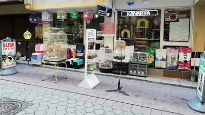 Buse Pet shop
