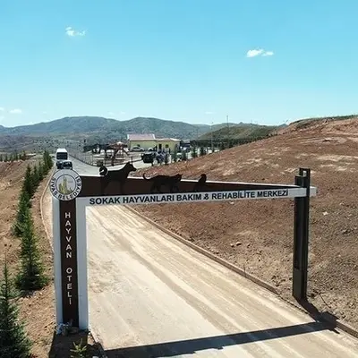 Sokak Hayvanları Rehabilite ve Bakım Merkezi