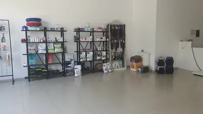 Animallys Veteriner Kliniği