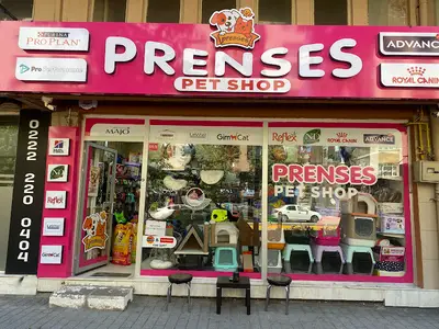 Esciv Kanatlı Alemi