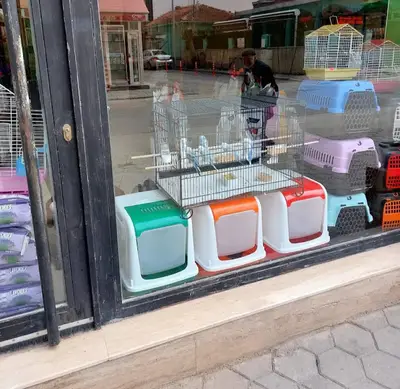 Kanatlı dünyam