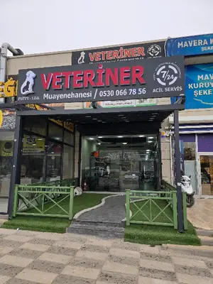 Puppyloji Veteriner kliniği