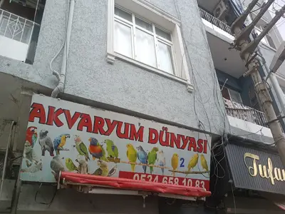 AKVARYUM DÜNYASI