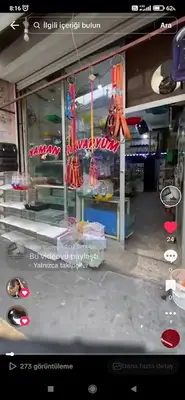 Berdan Petshop