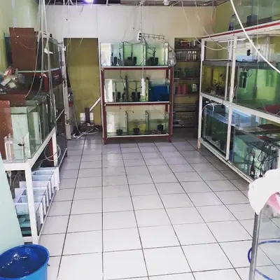 Ades Pet Home