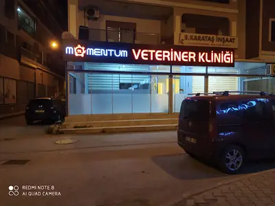 Momentum Veteriner Kliniği fotoğrafı