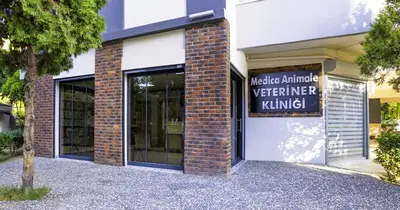 Medica Animale Veteriner Kliniği fotoğrafı