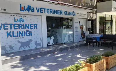 Lupa Veteriner Kliniği fotoğrafı