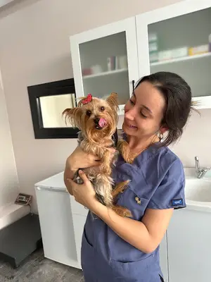 Vet Vision Veteriner Kliniği fotoğrafı