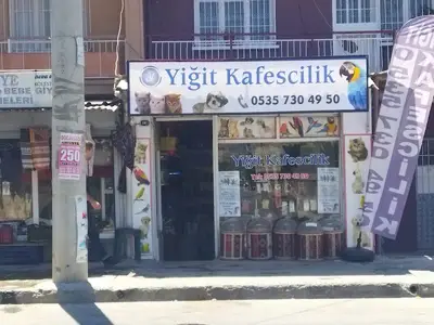 Yiğit Kafes