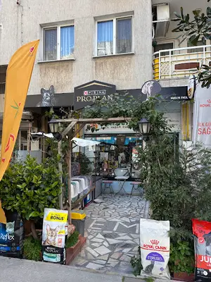 Vanilya Evcil Yaşam Dükkânı fotoğrafı