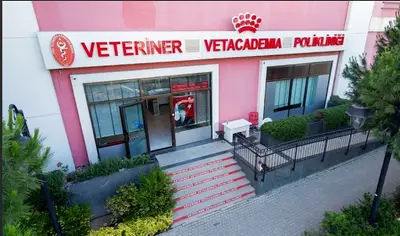 VetAcademia Plus fotoğrafı