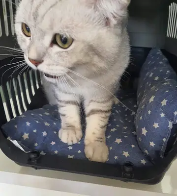 Santa Veteriner Kliniği fotoğrafı