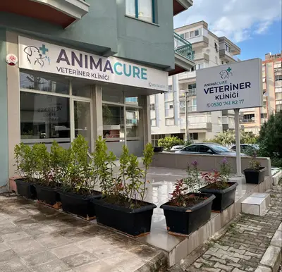 Animacure Veteriner Kliniği fotoğrafı