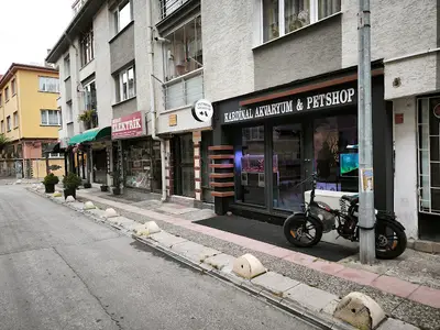 Kardinal Akvaryum & Petshop