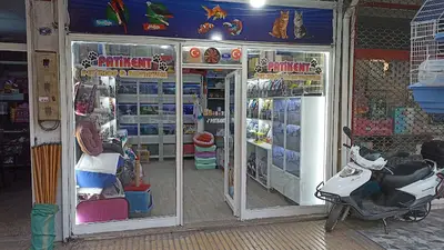 PATİKENT
