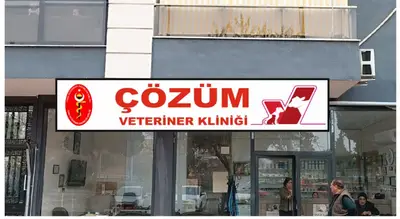 Cihan Tekeli Veteriner fotoğrafı