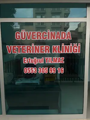 Güvercinada Veteriner Kliniği