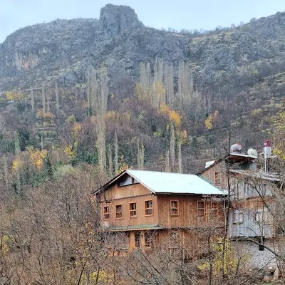 Yalçıner çiftliği TATUTA fotoğrafı