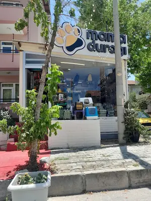 mamadurağı modernevler