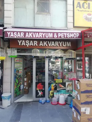 Yunus Akvaryum